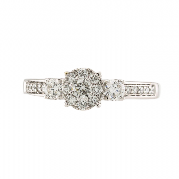 18ct White Gold Diamond Cluster Ring Total 0.50ct 0522166