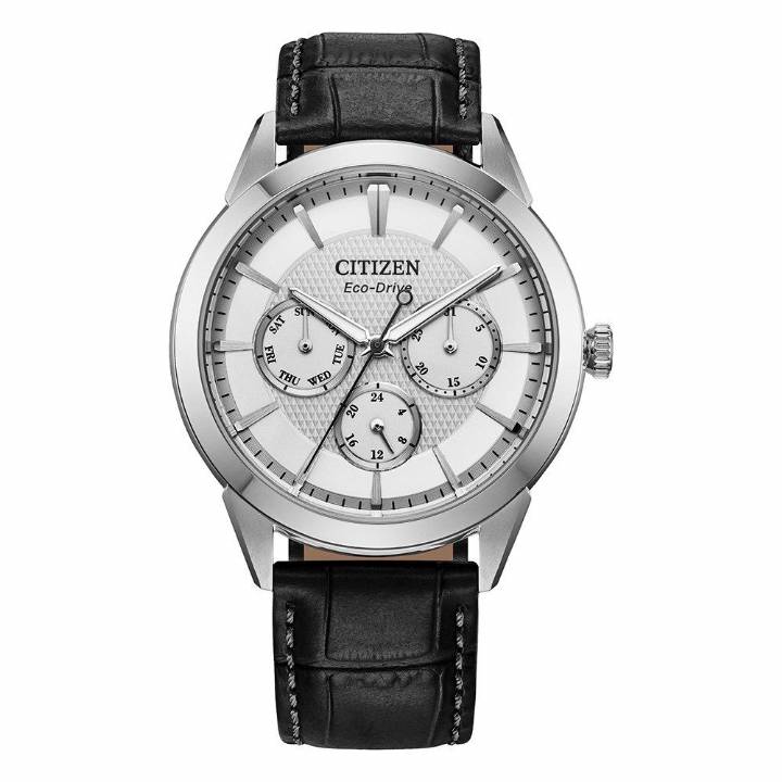 Citizen Gents Eco-Drive Rolan Strap Watch